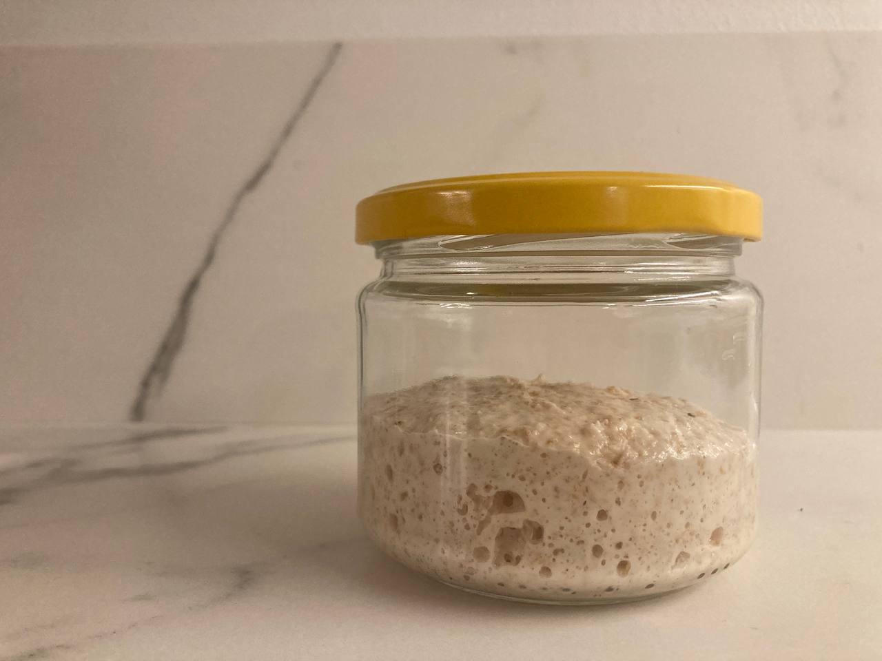 Sourdough starter