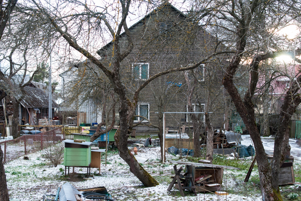 Beehives in Pelgulinn